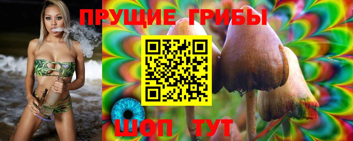Псилоцибиновые грибы Psilocybine cubensis Ростов Великий